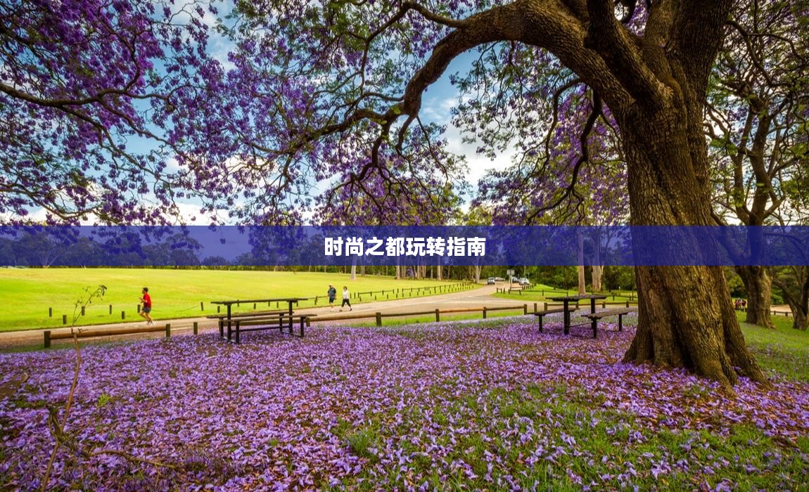 移箱达人悉尼攻略，玩转时尚之都的必备指南