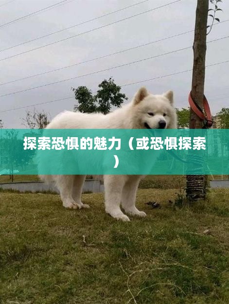 吓人小游戏，探索恐惧的魅力