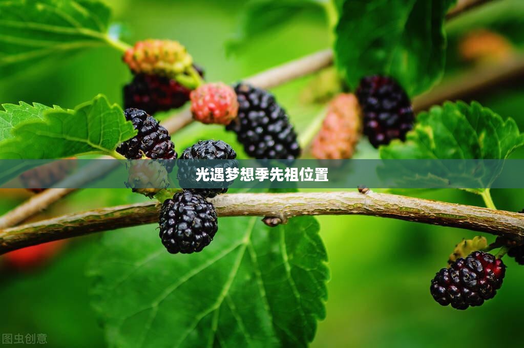 光遇梦想季先祖位置详解,探索与发现的旅程 光遇梦想季先祖位置详解,探索与发现的旅程
