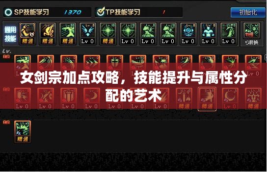 女剑宗加点攻略，技能提升与属性分配的艺术