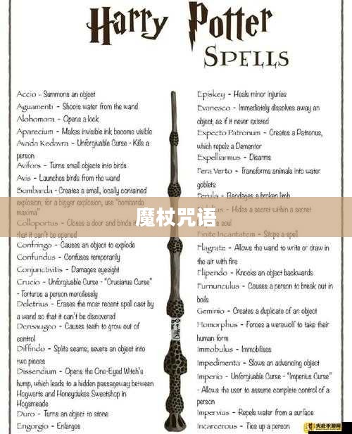 揭秘，夺取对方魔杖的咒语