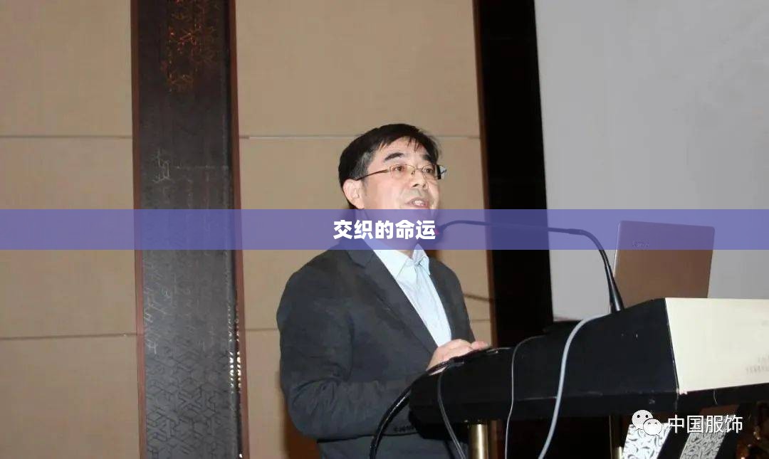 李伟与刘梅,一段交织的命运小说 李伟与刘梅,一段交织的命运小说