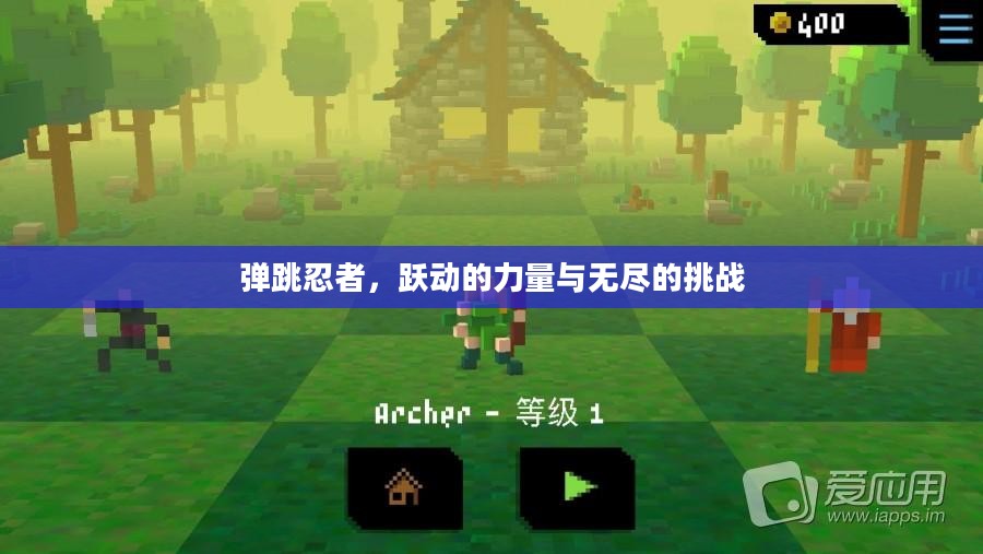 弹跳忍者，跃动的力量与无尽的挑战