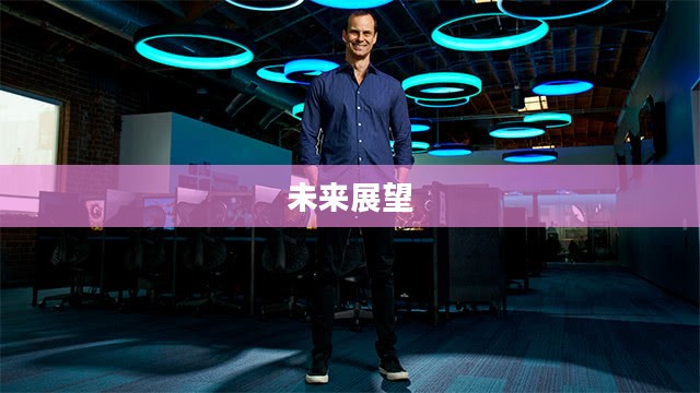 英雄联盟停服公告，深度解析与未来展望