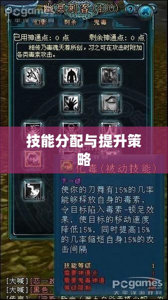 刺客加点攻略，技能分配与提升策略