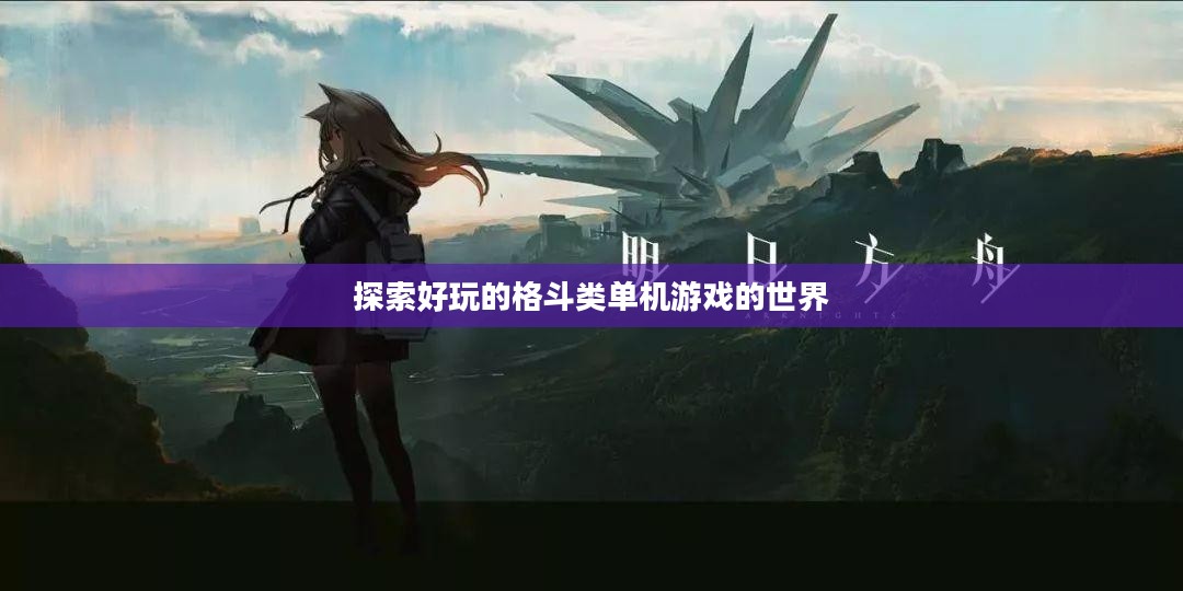 探索好玩的格斗类单机游戏的世界 探索好玩的格斗类单机游戏的世界