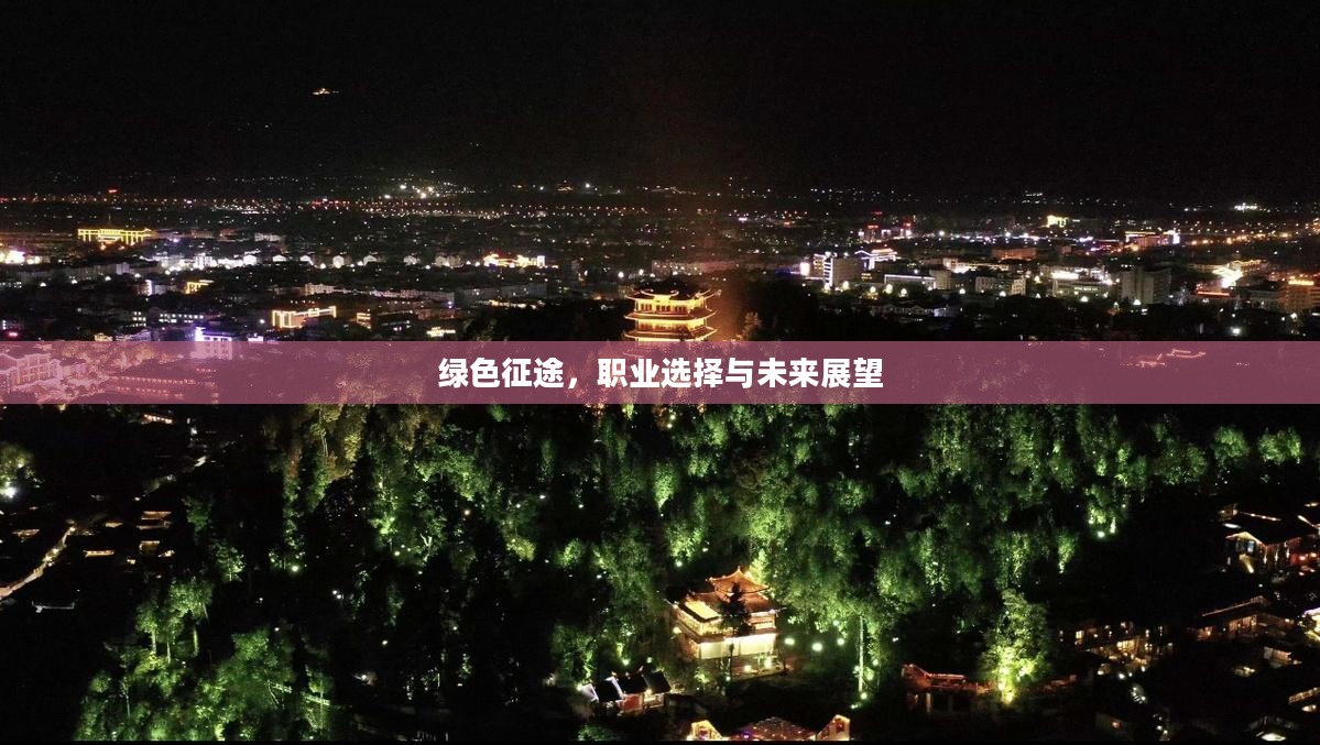 绿色征途，职业选择与未来展望