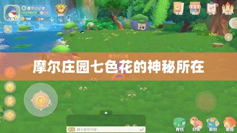 摩尔庄园七色花的神秘所在