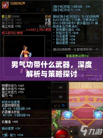 男气功带什么武器，深度解析与策略探讨