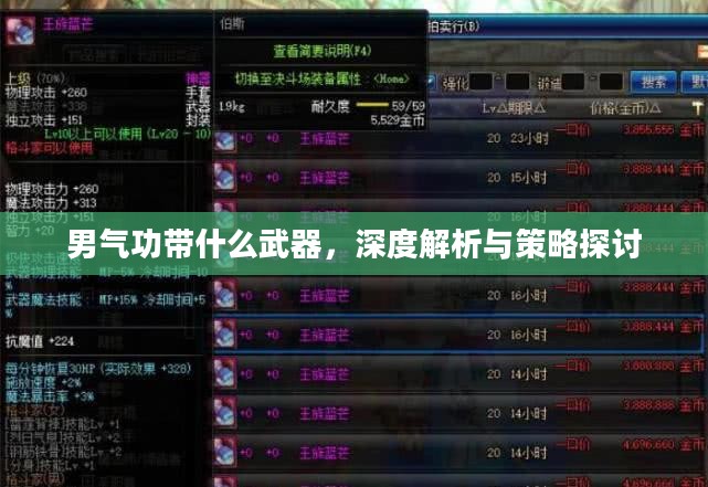 男气功带什么武器,深度解析与策略探讨 男气功带什么武器,深度解析与策略探讨