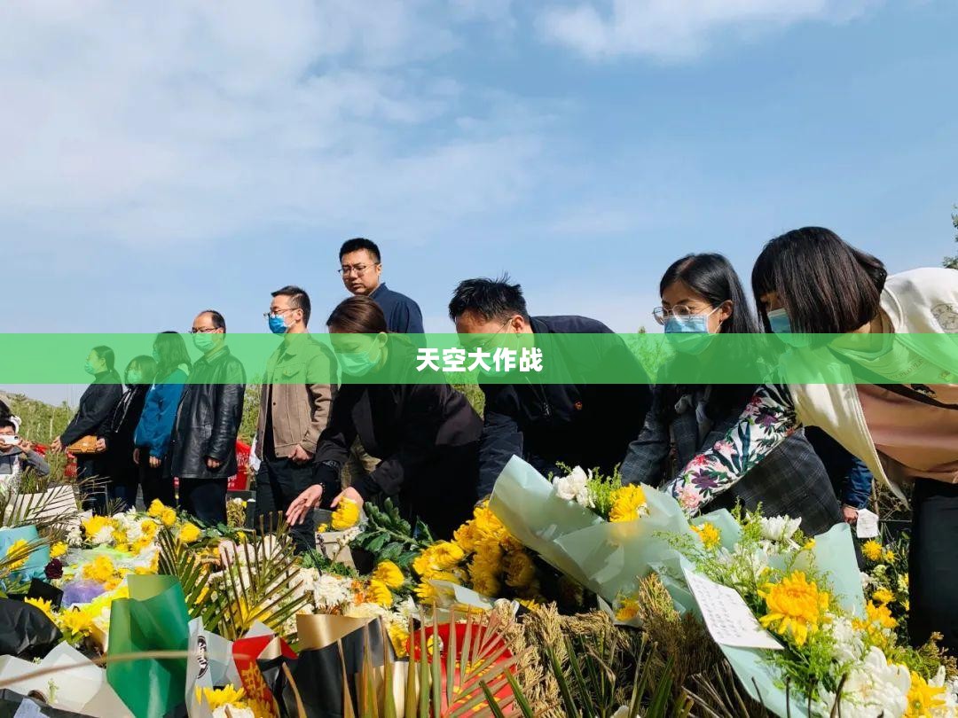 天空大作战,英勇的决战与未来的希望 天空大作战,英勇的决战与未来的希望