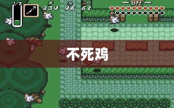 不死鸡的神秘传说与探索