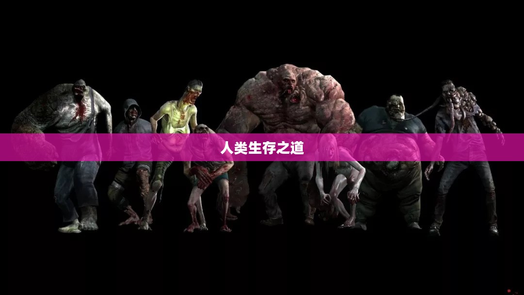 末日论坛，探索生存之道，人类未来的希望之光