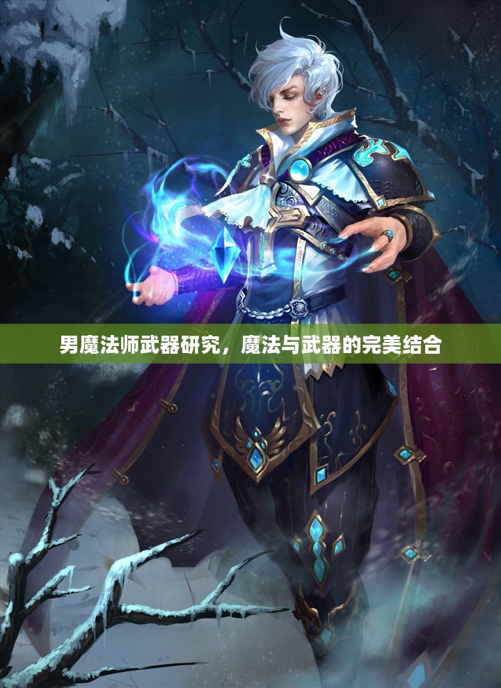 男魔法师武器研究，魔法与武器的完美结合