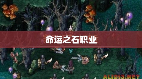 命运之石职业，探索未知，掌握命运