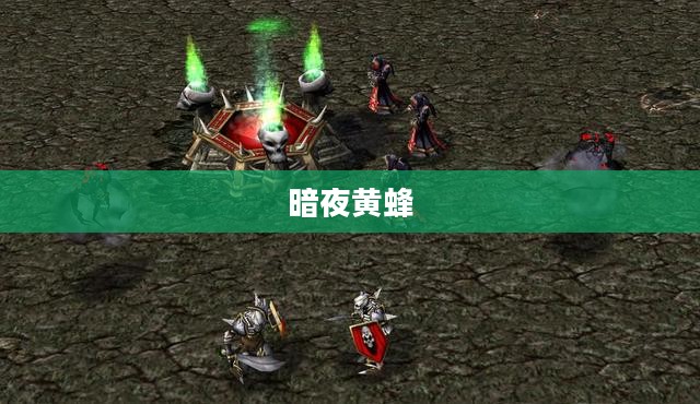 暗夜黄蜂，隐秘的力量与神秘魅力