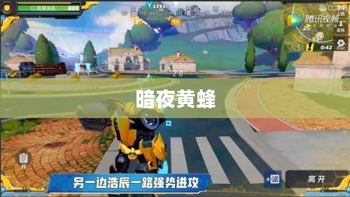 暗夜黄蜂,隐秘的力量与神秘魅力 暗夜黄蜂,隐秘的力量与神秘魅力