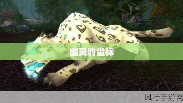 探寻神秘的幽灵豹坐标，揭开未知世界的神秘面纱