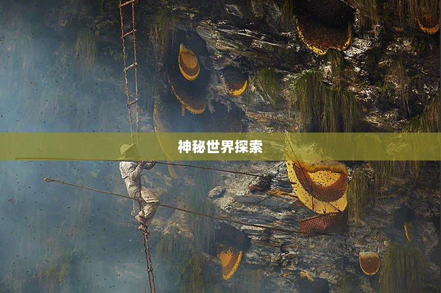 原神山中之物,探索神秘世界的奇幻之旅 原神山中之物,探索神秘世界的奇幻之旅