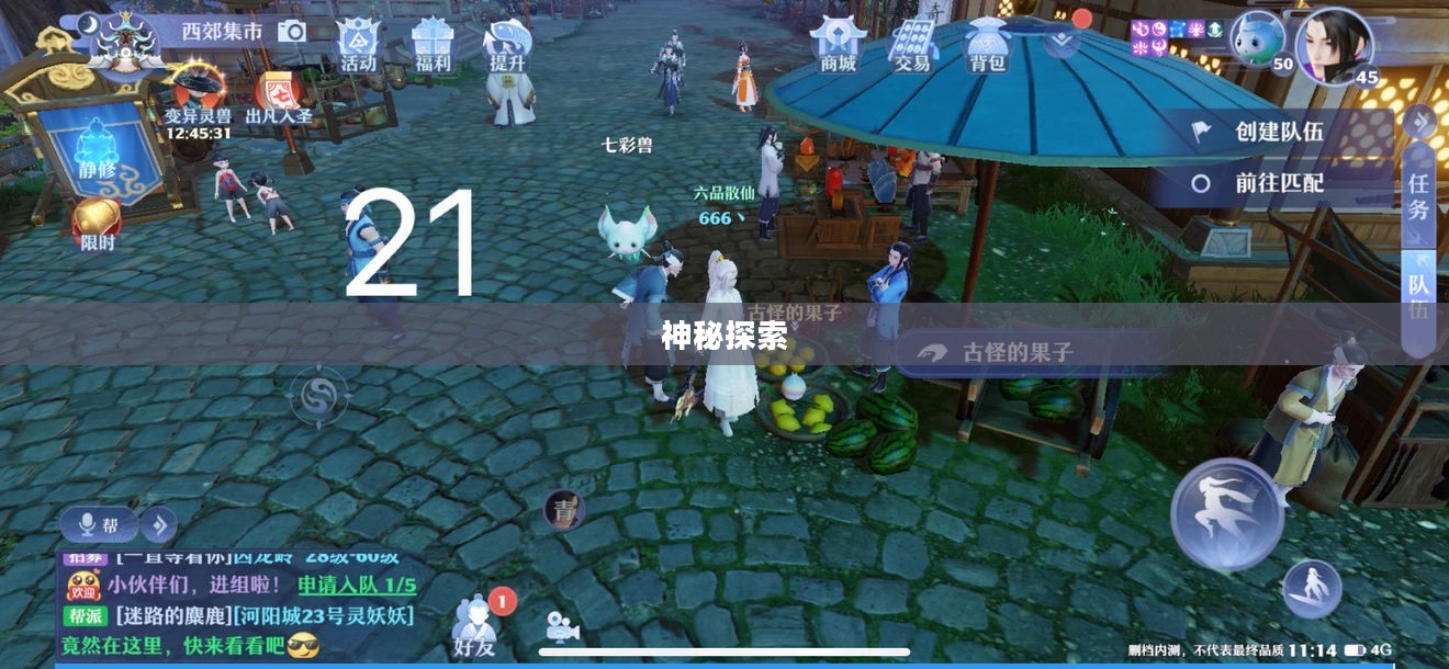 梦幻新诛仙探灵之旅,奇幻世界的神秘探索 梦幻新诛仙探灵之旅,奇幻世界的神秘探索