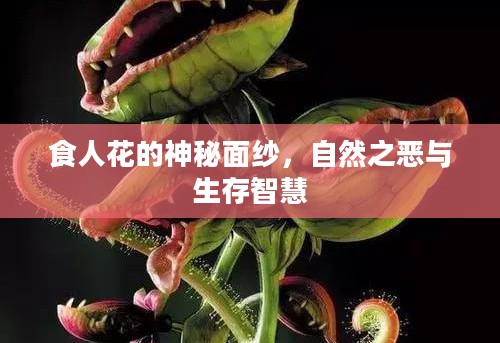 食人花的神秘面纱，自然之恶与生存智慧