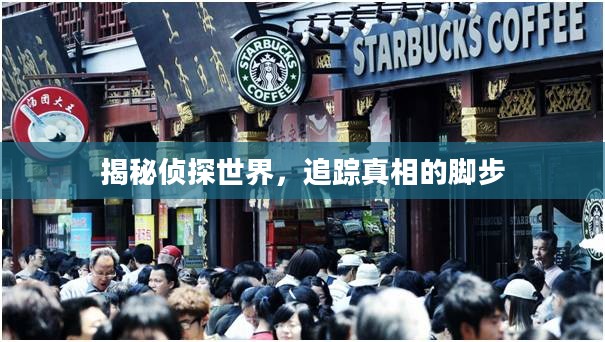 揭秘侦探世界，追踪真相的脚步