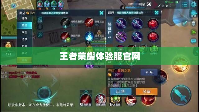 王者荣耀体验服官网，探索游戏的先锋之地