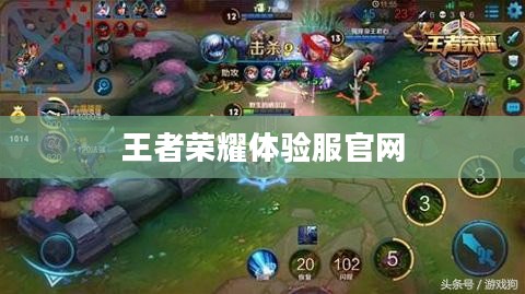 王者荣耀体验服官网,探索游戏的先锋之地 王者荣耀体验服官网,探索游戏的先锋之地