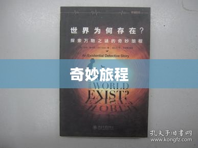 球球，探索未知世界的奇妙旅程