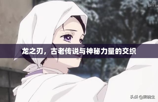 龙之刃，古老传说与神秘力量的交织