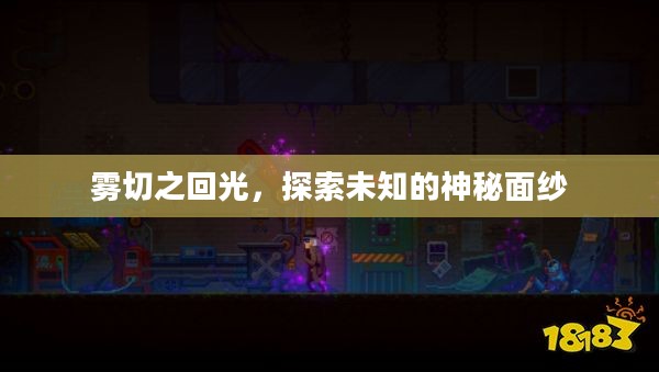 雾切之回光,探索未知的神秘面纱 雾切之回光,探索未知的神秘面纱