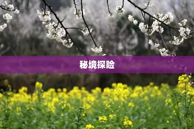 藏宝海湾,秘境探险与海洋宝藏的传奇故事 藏宝海湾,秘境探险与海洋宝藏的传奇故事