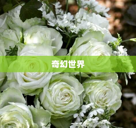 永恒传说的奇幻世界 永恒传说的奇幻世界