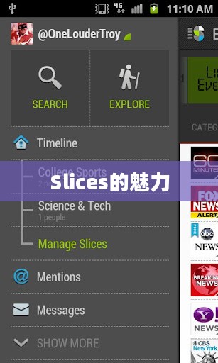 Slices的魅力,从生活细节到科技革新 Slices的魅力,从生活细节到科技革新