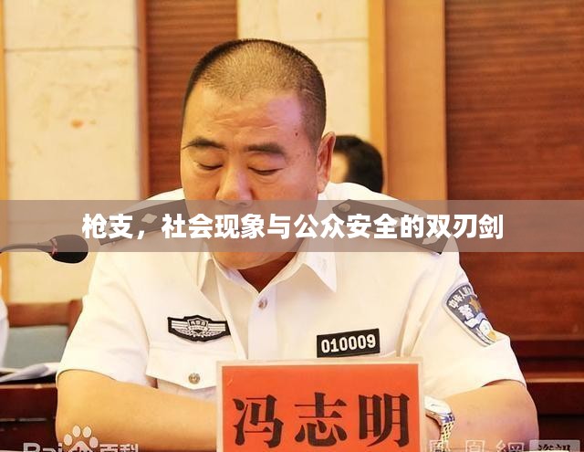 枪支,社会现象与公众安全的双刃剑 枪支,社会现象与公众安全的双刃剑