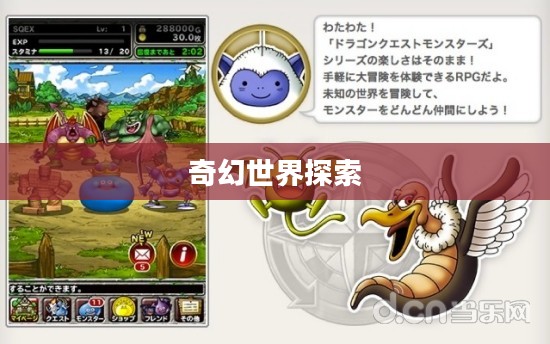 勇者斗恶龙怪兽仙境，探索未知的奇幻世界
