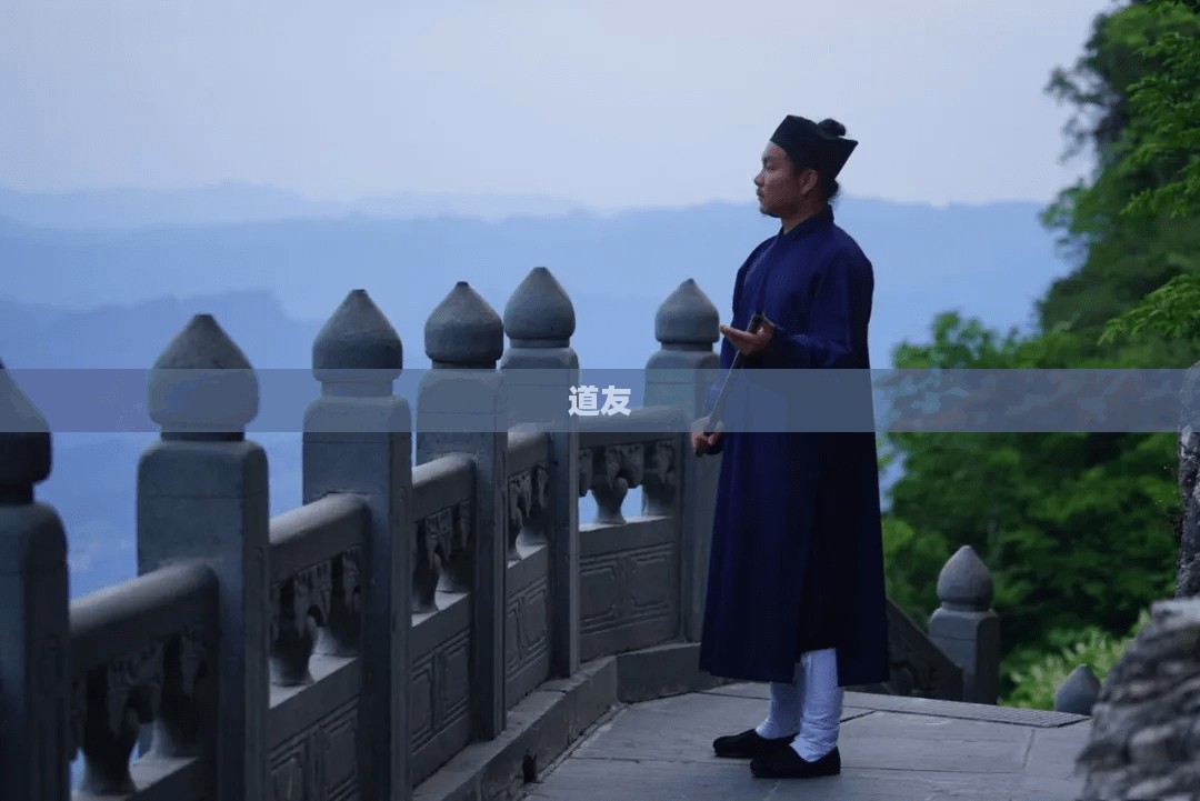道友,修行路上的同行者与心灵的共鸣者 道友,修行路上的同行者与心灵的共鸣者