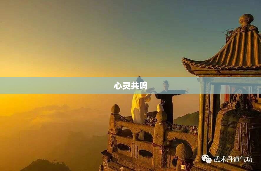 道友，修行路上的同行者与心灵的共鸣者