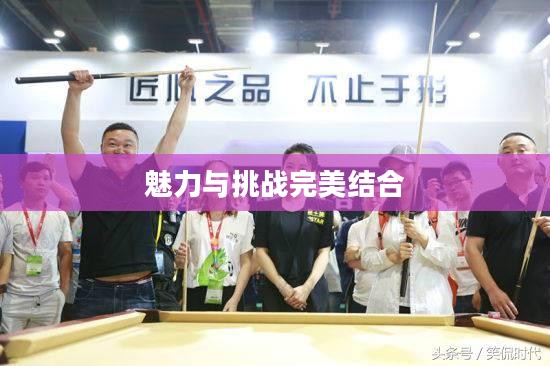斯诺克游戏,魅力与挑战的完美结合 斯诺克游戏,魅力与挑战的完美结合