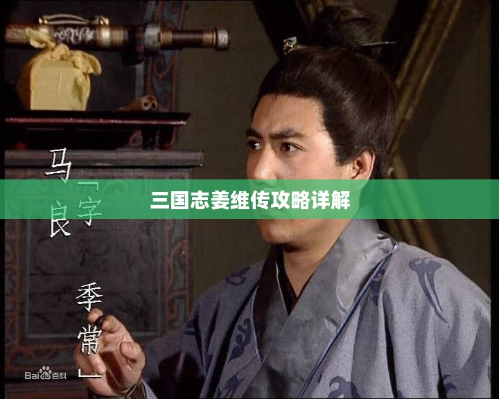 三国志姜维传攻略详解