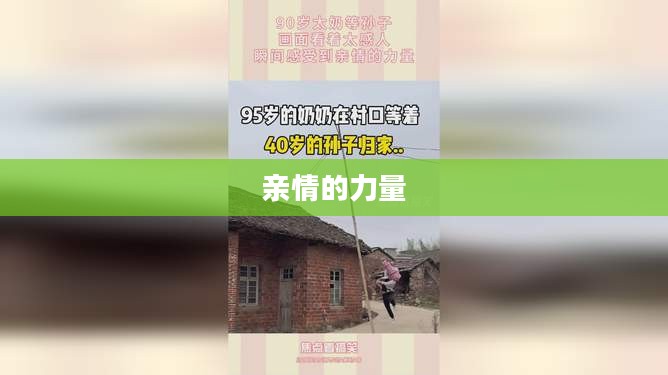 亲人两行泪——亲情的力量与人生的感悟
