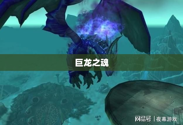 巨龙之魂，古老的力量与现代启示
