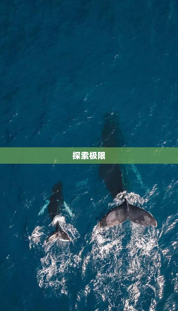 神器任务，探索未知，挑战极限