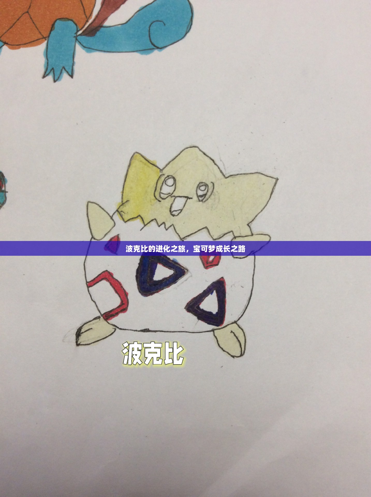 波克比的进化之旅，宝可梦成长之路