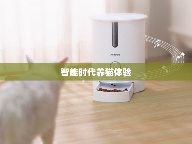 块猫,探索智能时代的全新养猫体验 块猫,探索智能时代的全新养猫体验