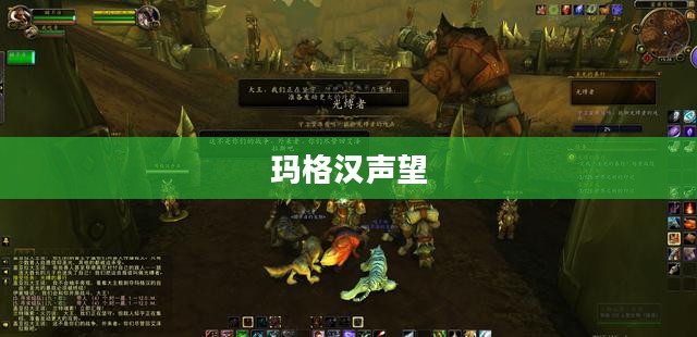 玛格汉声望，荣耀与传奇的交织