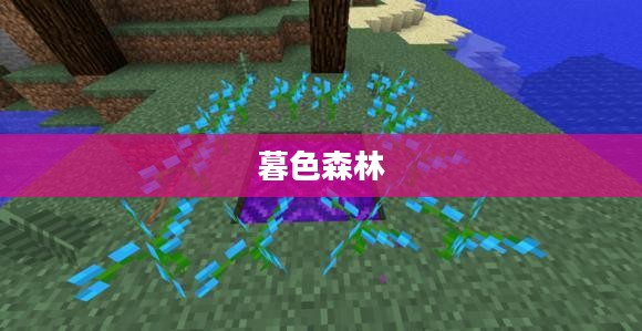 探索我的世界暮色森林，神秘传送门的奥秘