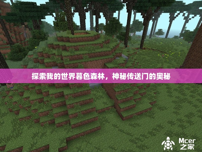 探索我的世界暮色森林，神秘传送门的奥秘
