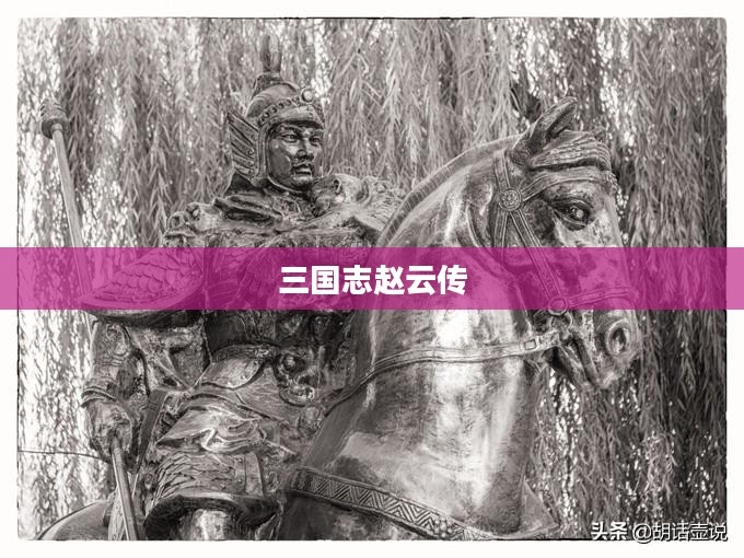 三国志赵云传,英勇无畏的蜀汉名将 三国志赵云传,英勇无畏的蜀汉名将