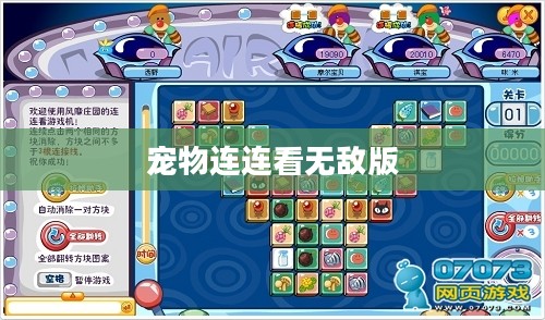 宠物连连看无敌版，游戏魅力与策略攻略